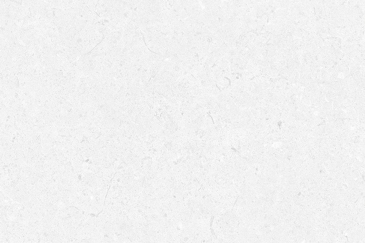 1019 L